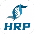 HRP综合门户平台app安卓版